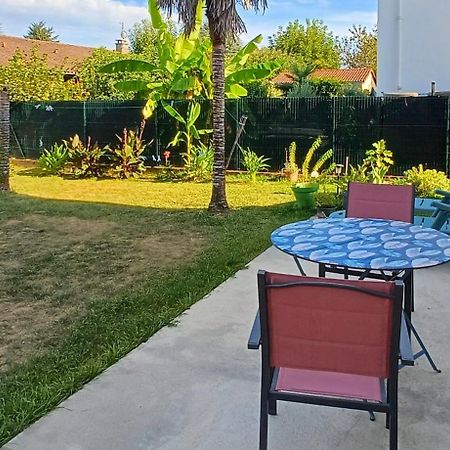 Joli Appartement 洛特河畔的维伦纽夫 外观 照片